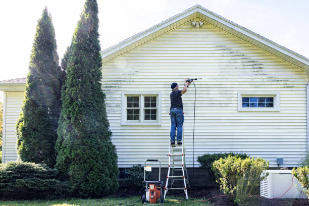 Best Driveway Cleaning and Restoration in Forestbrook, SC